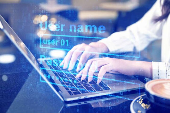 600193股吧深度解析：机遇还是陷阱？